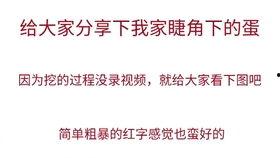 成人日皮视频文案夏天,成人日皮视频夏日风情回顾