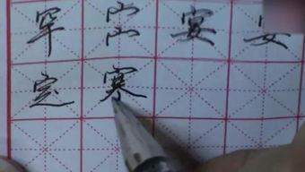 成人行书练字视频大全